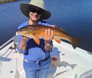 Limits of Speckled Trout and Redfish in Hernando County