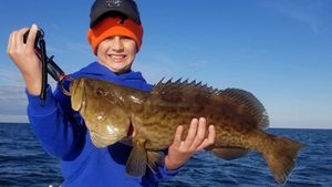 Fishing for Gag Grouper from Florida