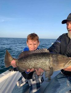 Florida fishing reeled in gag grouper