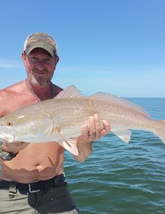 Homosassa FL reeed in redfish