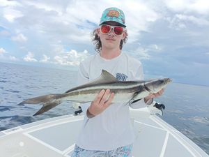 Nice Cobia Fishing in Florida