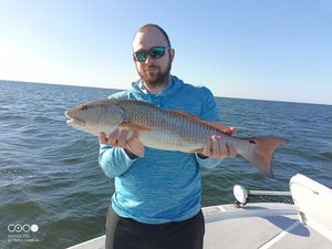 Florida fishing nice redfish reeled in