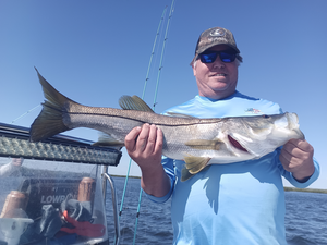 Inshore Fishing Thrills in Weeki Wachee, FL