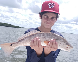 Top-Rated Weeki Wachee Flats: 32-Inch Redfish Caught on Half-Day