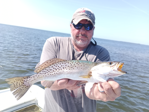 Spectacular Seatrout, Drum & Sheepshead: A Weeki Wachee Fishing Frenzy