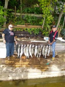 Caught our limits! salmon fishing ontario