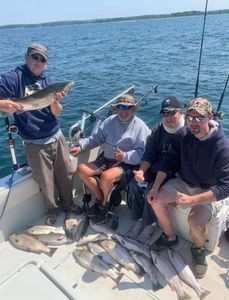 Salmon and Trout Run! Lake Ontario Fishing Report