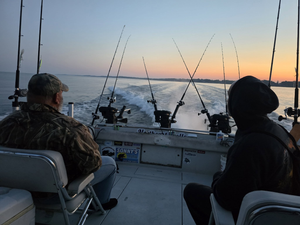 Get Your Valid New York Fishing License