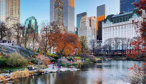 Things To Do in New York