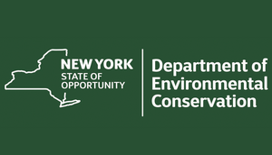 New York Fishing License