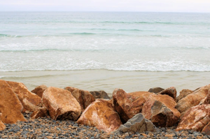 Get Your Valid California Fishing License