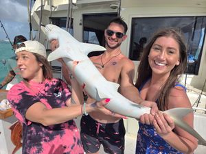 Key West Snapper and Shark Action with Rampage Magic Crew