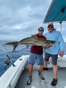 Trophy amberjack and a big cobia 