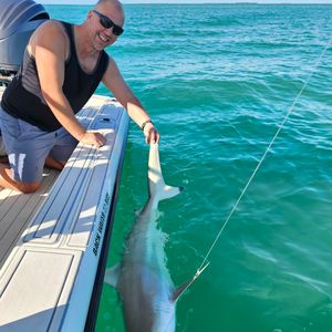 Sun set shark fishing 
