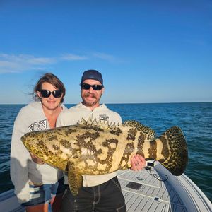 The Goliath grouper trip