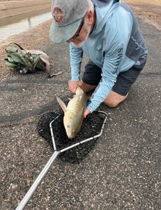  What kind of activities can I do after my fly fishing guide trip with Lo Water Guide Services in Phoenix? 