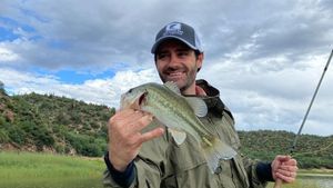Bass in Phoenix, AZ