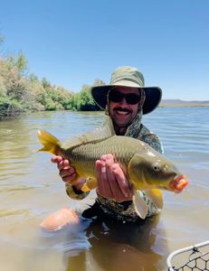 What are fly fishing streamers?