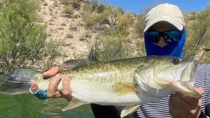 Top Phoenix Bass Fishing Trips