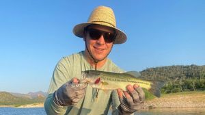 Hooked a Bass in Phoenix, AZ