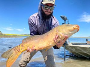 Carp Fishing in Phoenix, AZ