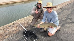 Hooked a Common Carp in Phoenix, AZ