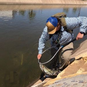 Top Bass Fishing Excursion in Phoenix, AZ