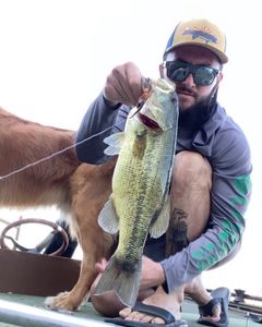 Bass Fishing in Phoenix, AZ