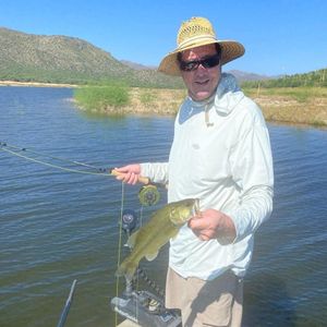 Reeled In a Smallmouth Bass in Phoenix, AZ