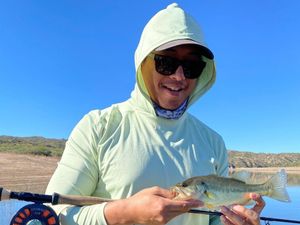 Bass Fishing in Phoenix, AZ