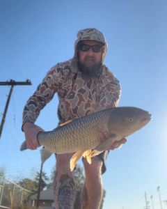 Best Carp Fishing Trip in Phoenix