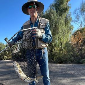 Bass Fishing in Phoenix, AZ