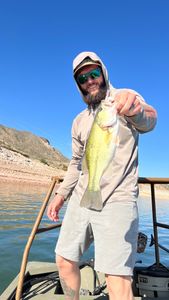 Bass in Phoenix, AZ