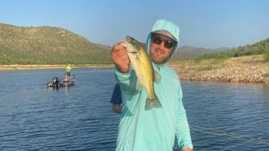 Great Day of Bass Fishing in Phoenix, AZ