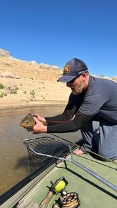 Poppers to bass and carp
