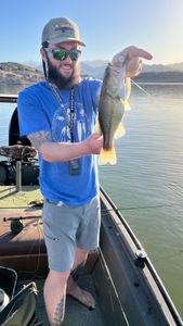Nice bass on a popper!