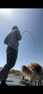 Spring months are one of my favorite times to fish