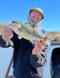 Why should I book with lo water guide service for something to do while visiting Barrett Jackson in Phoenix?