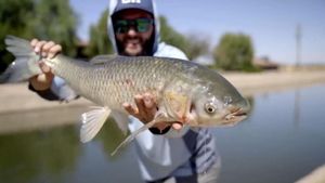 Top Phoenix Fly Fishing Trips