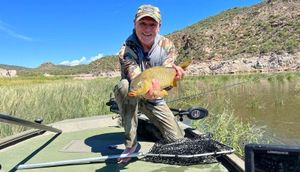 Phoenix Fishing Experience