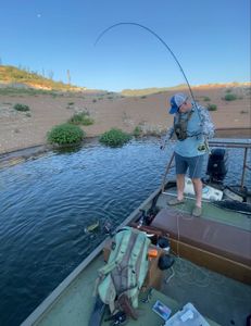 Can I fly fish in any state?