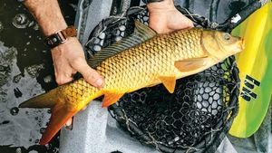 Lake Pleasant Urban Fly Fishing Challenge