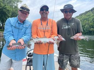Top Rainbow Trout Fishing in Branson, MO