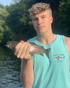 Rainbow Trout Fishing in Branson, MO