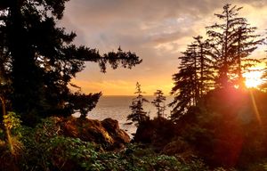 Exploring the Hidden Gems of the Columbia River