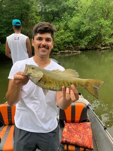 Smallmouth Bass fishing in Missouri