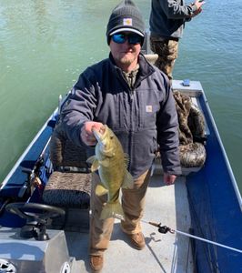 Smallmouth Bass in Missouri