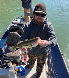 Best fishing in Missouri