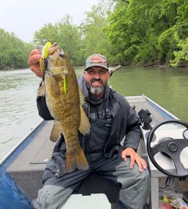 River Smallmouth Bass Bite Stays Hot
