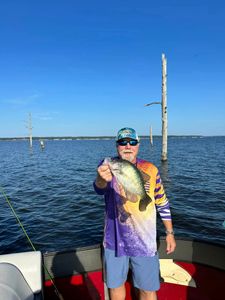 Elevate Your Crappie Fishing Game